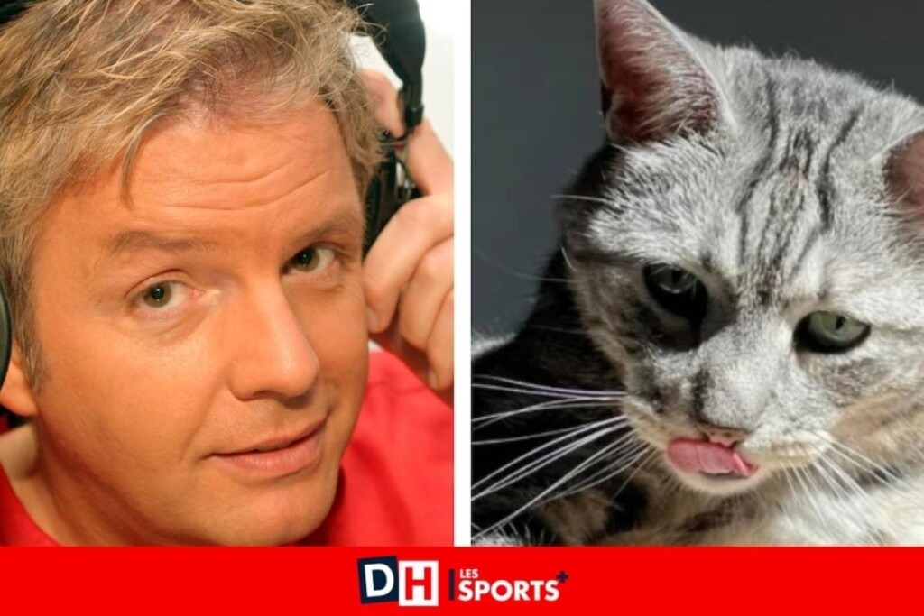 Le chat orphelin de Pierre Bail, Bibi, a trouvé une nouvelle famille qui l’accueille Le chat orphelin de Pierre Bail, Bibi, a trouvé une nouvelle famille qui l’accueille