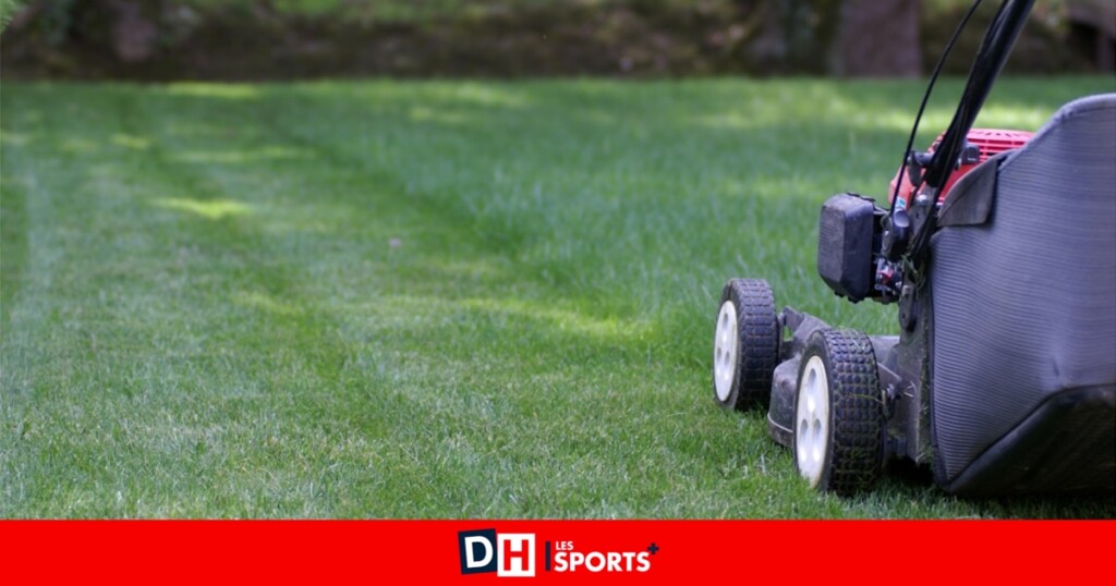 L’herbe coupée : conseils pratiques pour une tonte réussie L’herbe coupée : conseils pratiques pour une tonte réussie