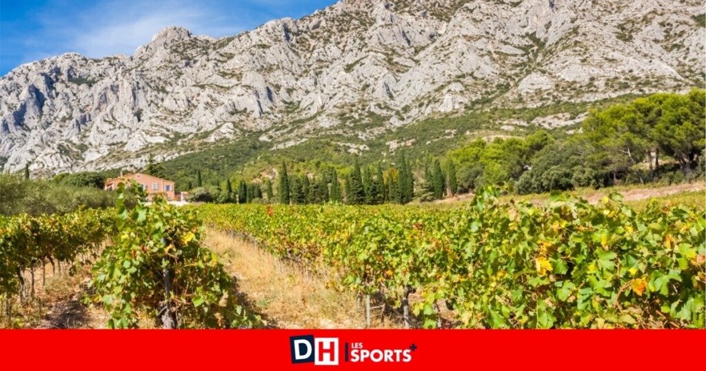 La Provence célèbre enfin la reconnaissance du cru Sainte-Victoire après 30 ans de démarches La Provence célèbre enfin la reconnaissance du cru Sainte-Victoire après 30 ans de démarches
