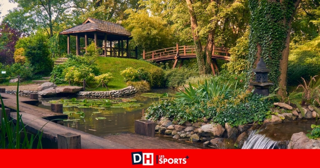 Découvrez nos conseils pour aménager un jardin japonais chez vous facilement Découvrez nos conseils pour aménager un jardin japonais chez vous facilement