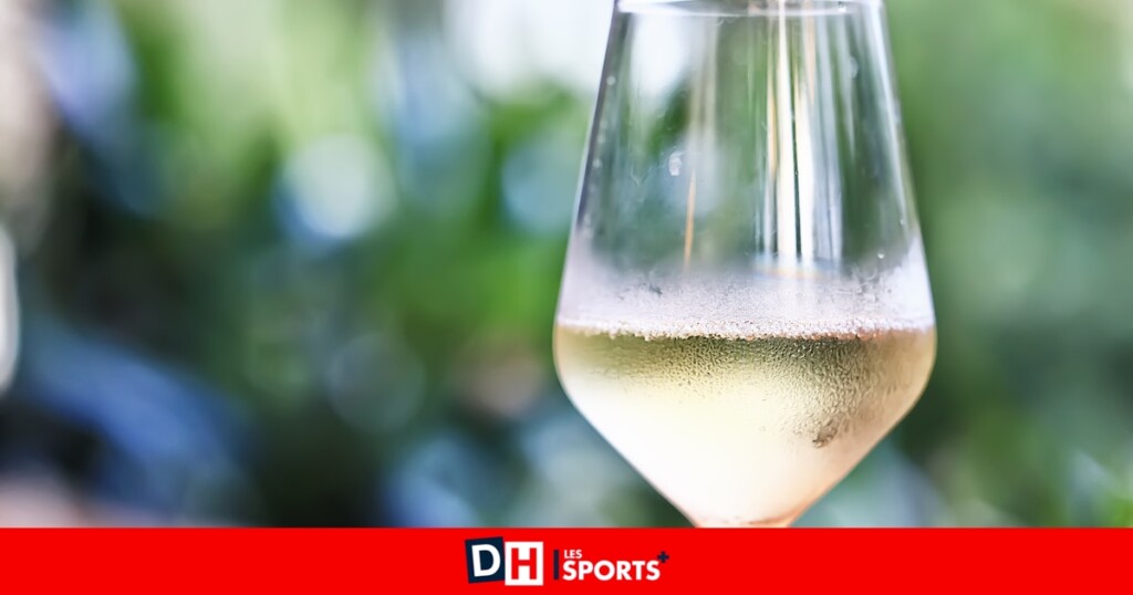 Découvrez notre sélection hebdomadaire de vins par notre expert œnologue et sommelier Découvrez notre sélection hebdomadaire de vins par notre expert œnologue et sommelier