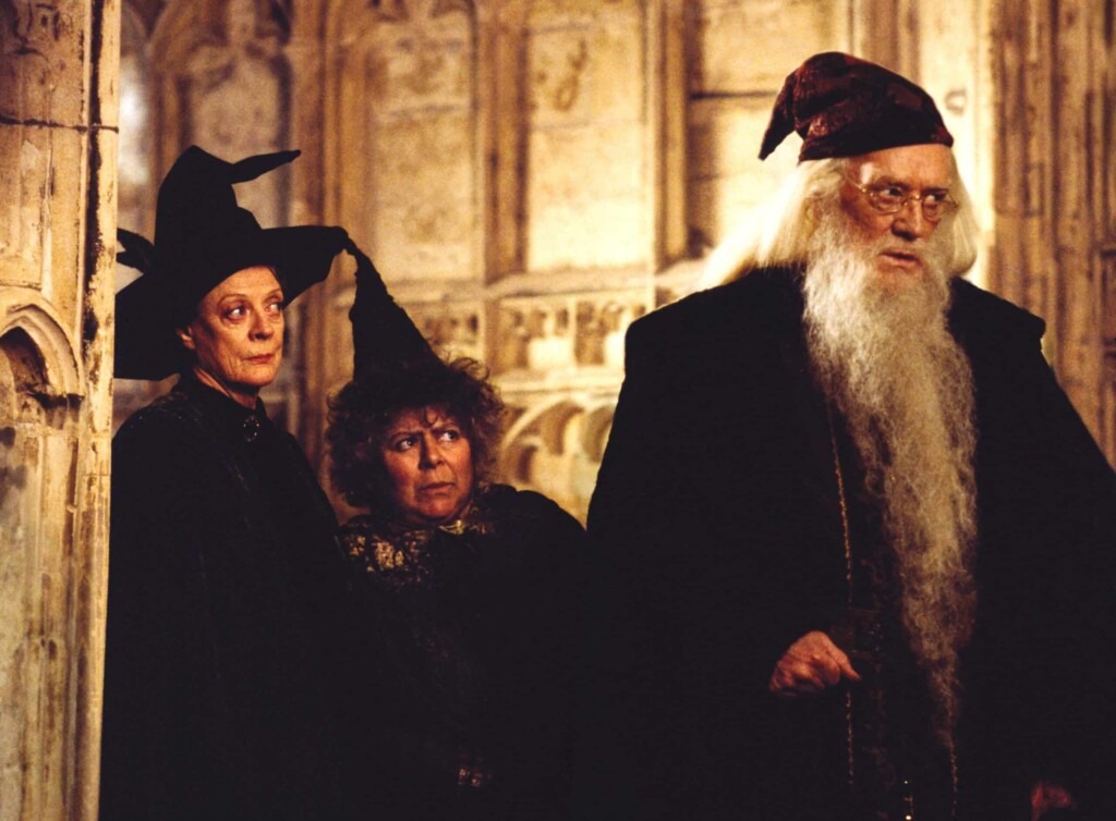Harry Potter : un acteur de la saga confie qu’il ne lui reste que cinq ans à vivre Harry Potter : un acteur de la saga confie qu’il ne lui reste que cinq ans à vivre