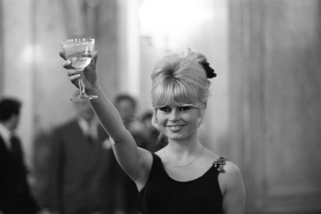 Brigitte Bardot fait son retour à la télévision après plus de dix ans d’absence Brigitte Bardot fait son retour à la télévision après plus de dix ans d’absence