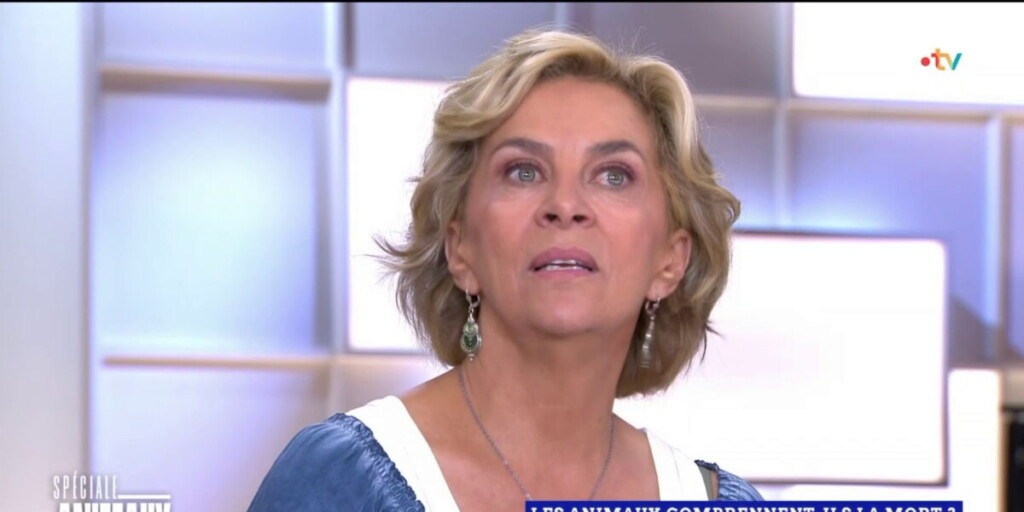 Corinne Touzet, émue, exprime sa tristesse sur le plateau de C l’hebdo Corinne Touzet, émue, exprime sa tristesse sur le plateau de C l’hebdo