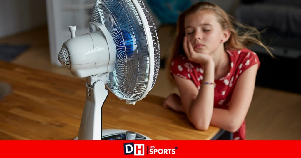 Prenez garde en allumant votre ventilateur cet été : ne négligez pas cette étape pour éviter la surchauffe Prenez garde en allumant votre ventilateur cet été : ne négligez pas cette étape pour éviter la surchauffe