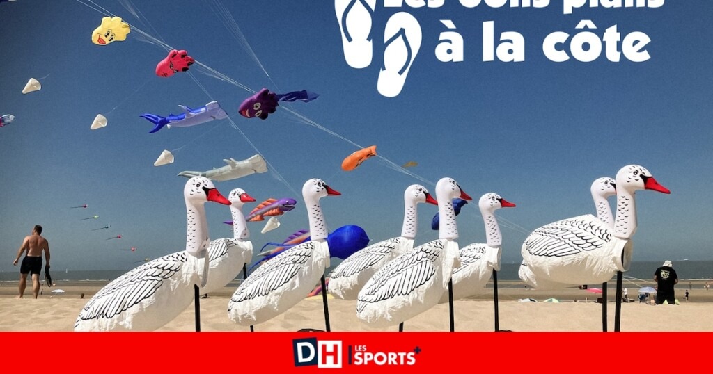 Concerts, fête à Bredene et cerfs-volants à Wenduine : les immanquables du week-end sur la côte belge Concerts, fête à Bredene et cerfs-volants à Wenduine : les immanquables du week-end sur la côte belge