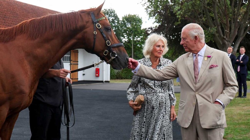 Le roi Charles III et la reine Camilla explorent le site historique de l’élevage à Newmarket Le roi Charles III et la reine Camilla explorent le site historique de l’élevage à Newmarket