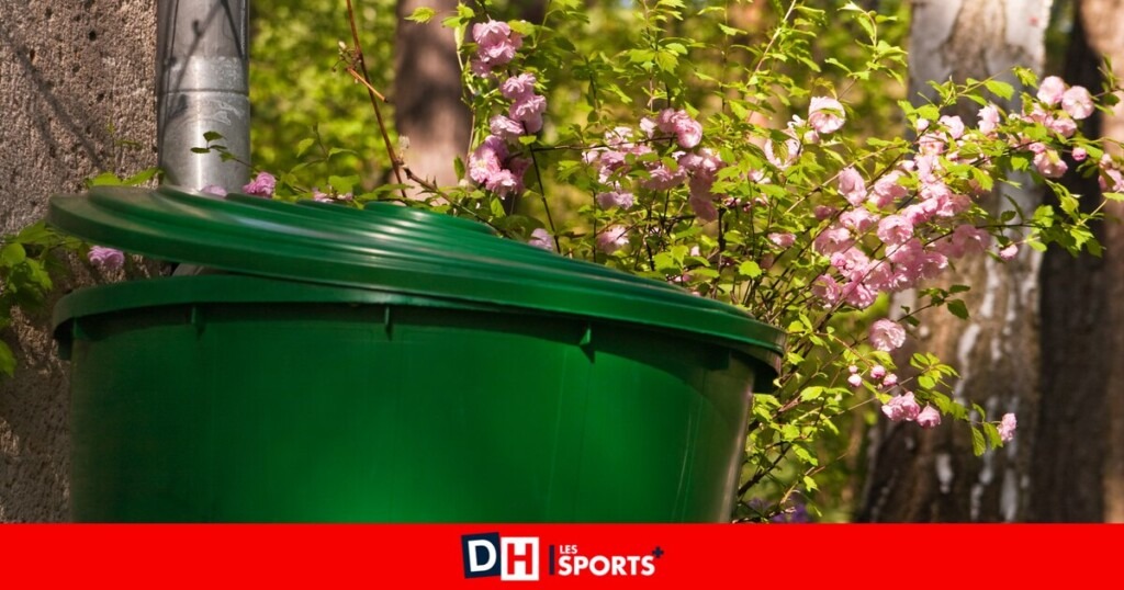 Apprenez à camoufler subtilement citernes, pompes à chaleur et poubelles dans votre jardin Apprenez à camoufler subtilement citernes, pompes à chaleur et poubelles dans votre jardin