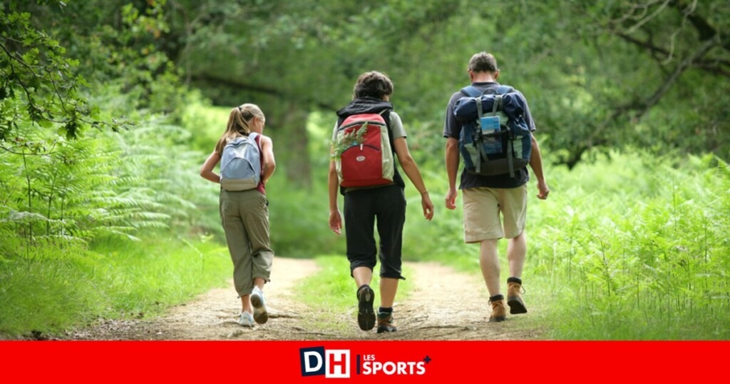 Quels indispensables mettre dans son sac pour un voyageur en quête d’aventure ? Quels indispensables mettre dans son sac pour un voyageur en quête d’aventure ?