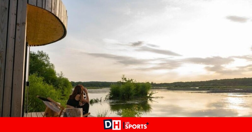 Envie d’évasion après les vacances ? Essayez de gagner une nuit dans une cabane unique à l’Aquascope Virelles Envie d’évasion après les vacances ? Essayez de gagner une nuit dans une cabane unique à l’Aquascope Virelles