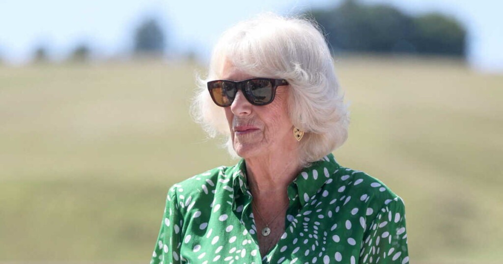 Camilla Parker Bowles profite de vacances sur le yacht d’un puissant homme d’affaires, loin de Charles III Camilla Parker Bowles profite de vacances sur le yacht d’un puissant homme d’affaires, loin de Charles III