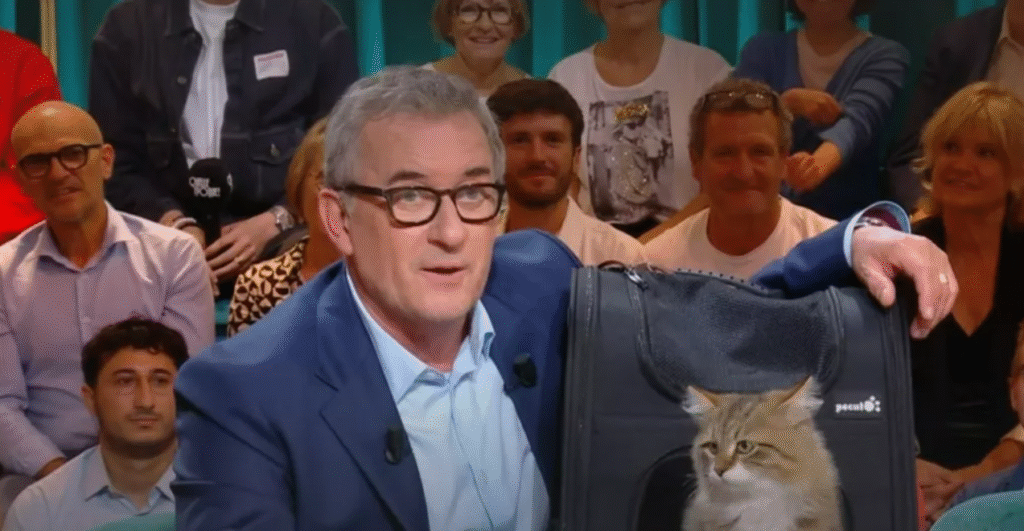 Christophe Dechavanne se confie sur Léa Salamé avant son arrivée au 20h de France 2 Christophe Dechavanne se confie sur Léa Salamé avant son arrivée au 20h de France 2