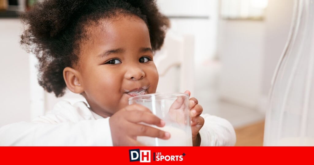 Le lait est-il une boisson fiable pour une consommation quotidienne ? Le lait est-il une boisson fiable pour une consommation quotidienne ?
