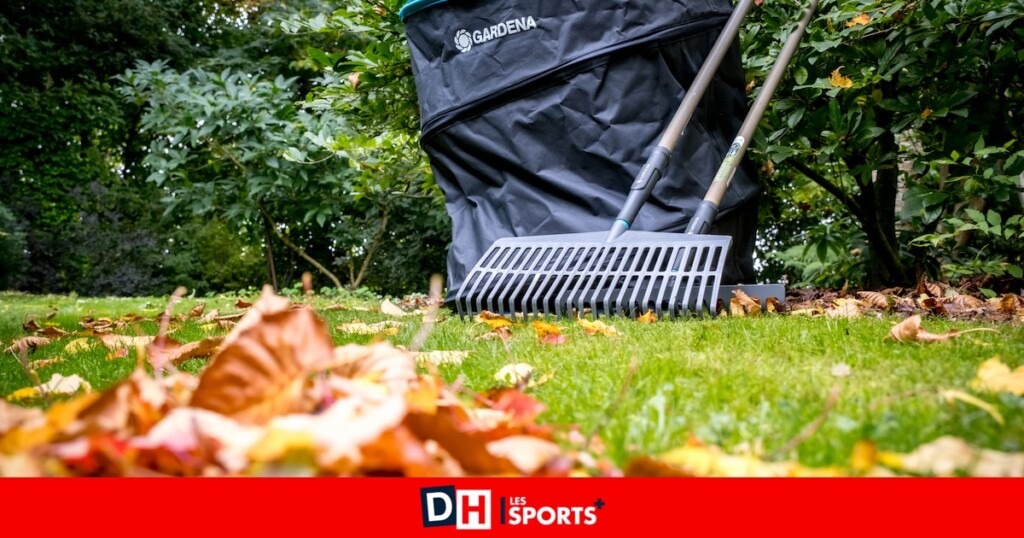Découvrez les astuces de Marc Knaepen, notre expert jardinier, pour gérer les feuilles mortes Découvrez les astuces de Marc Knaepen, notre expert jardinier, pour gérer les feuilles mortes