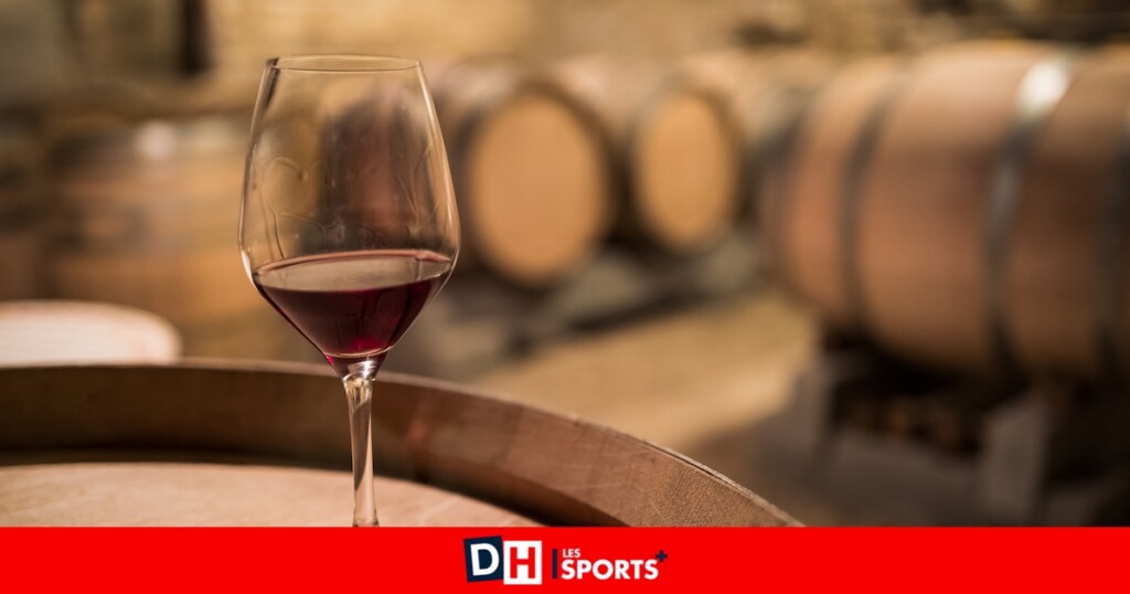 Les vins de la semaine : Bordeaux blanc, Margaux et Pomerol, choisis par notre expert en œnologie Les vins de la semaine : Bordeaux blanc, Margaux et Pomerol, choisis par notre expert en œnologie
