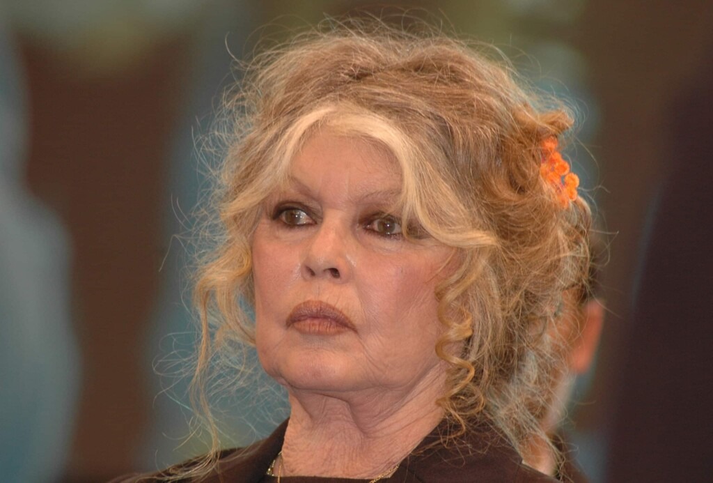 Brigitte Bardot est hospitalisée depuis trois semaines et son état de santé inquiète Brigitte Bardot est hospitalisée depuis trois semaines et son état de santé inquiète