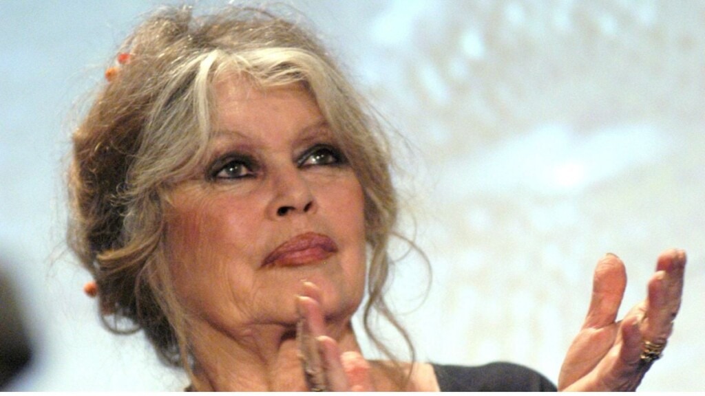 Brigitte Bardot, 91 ans, est sous oxygène après avoir traversé un choc éprouvant Brigitte Bardot, 91 ans, est sous oxygène après avoir traversé un choc éprouvant