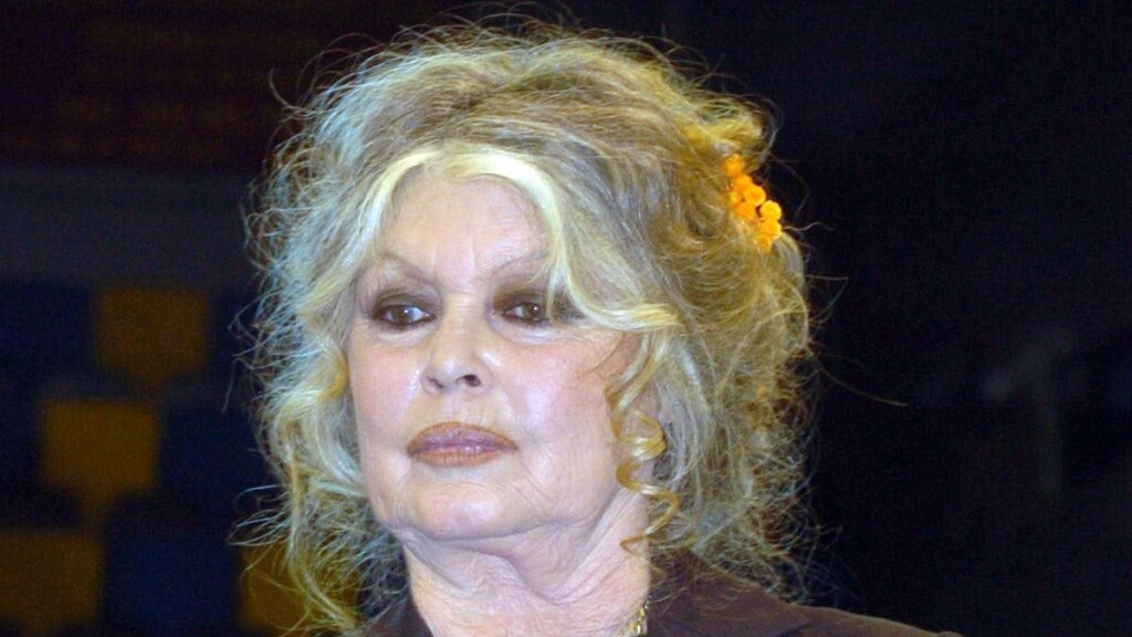 Brigitte Bardot hospitalisée : elle détaille enfin son état de santé Brigitte Bardot hospitalisée : elle détaille enfin son état de santé