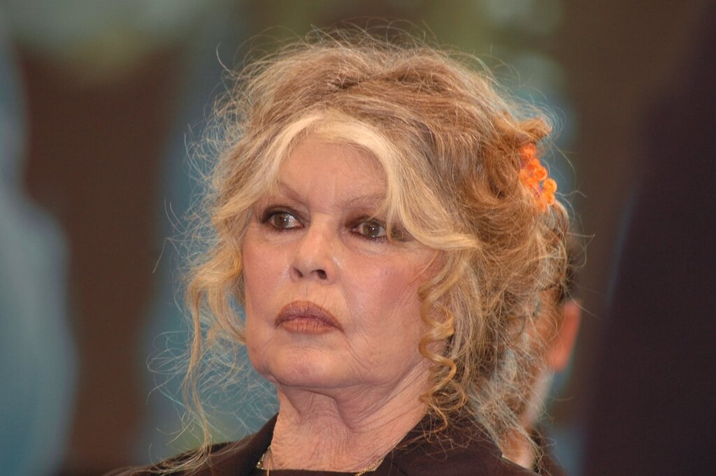 Un proche de Brigitte Bardot donne des nouvelles après des rumeurs inquiétantes sur son décès Un proche de Brigitte Bardot donne des nouvelles après des rumeurs inquiétantes sur son décès