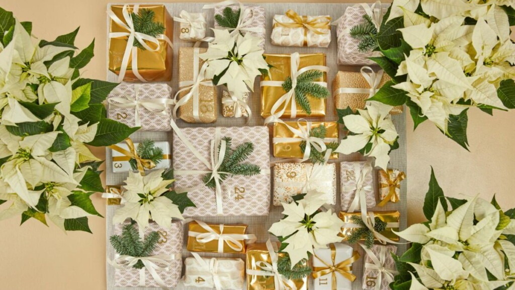 Les calendriers de l’Avent soin parfaits pour dorloter votre peau avant les fêtes de Noël Les calendriers de l’Avent soin parfaits pour dorloter votre peau avant les fêtes de Noël