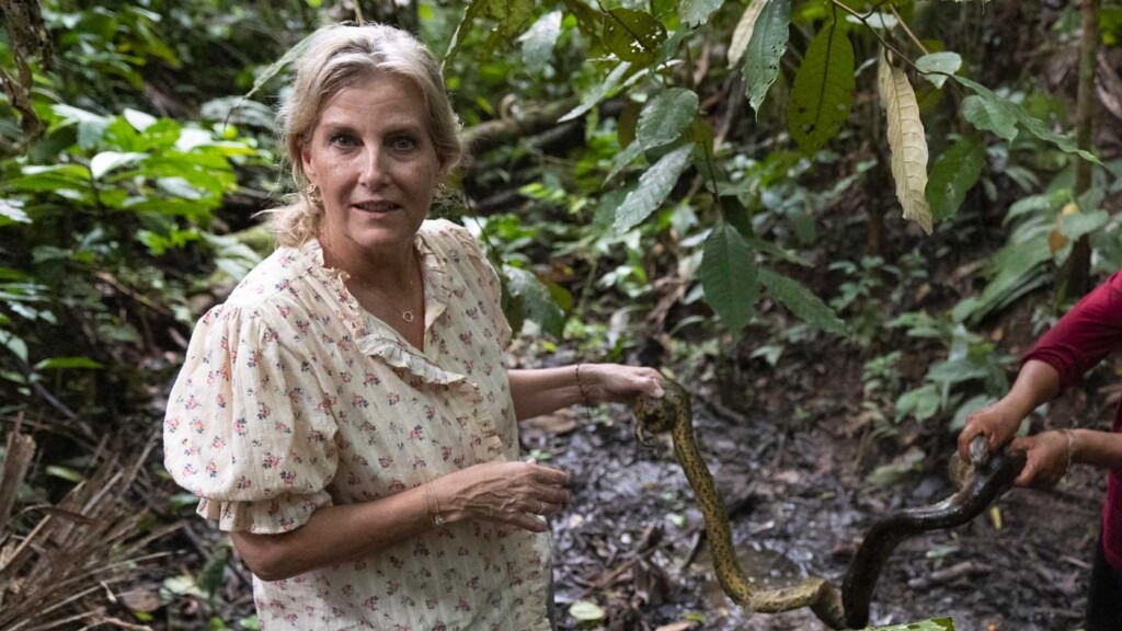 Au Pérou, la duchesse d’Édimbourg prend soin d’un anaconda Au Pérou, la duchesse d’Édimbourg prend soin d’un anaconda