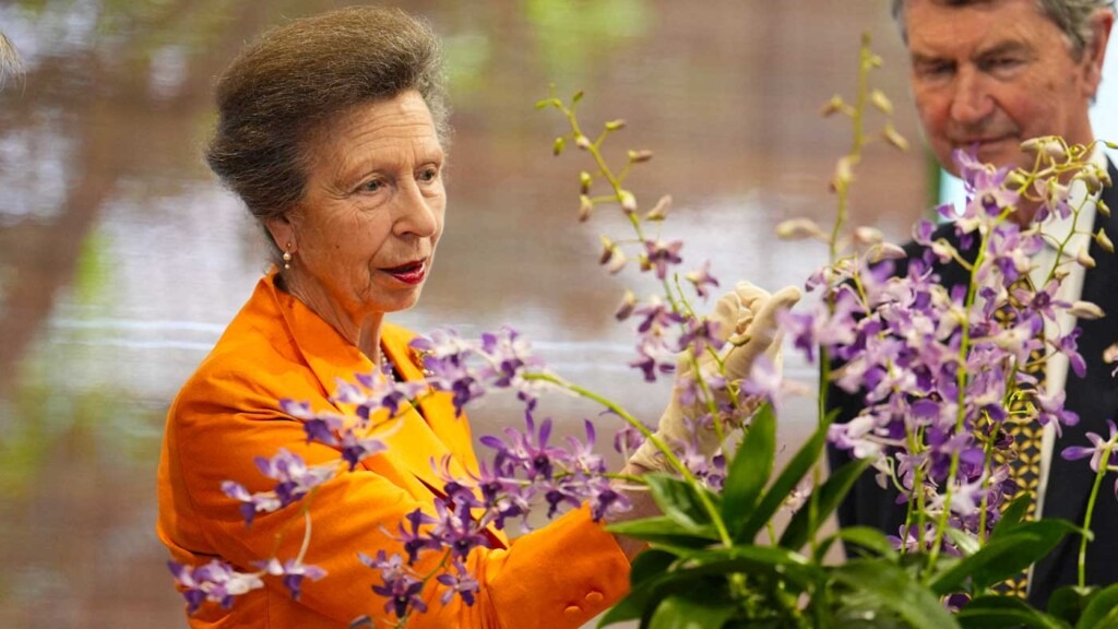 La princesse Anne inaugure une orchidée à son nom lors d’une cérémonie à Singapour La princesse Anne inaugure une orchidée à son nom lors d’une cérémonie à Singapour