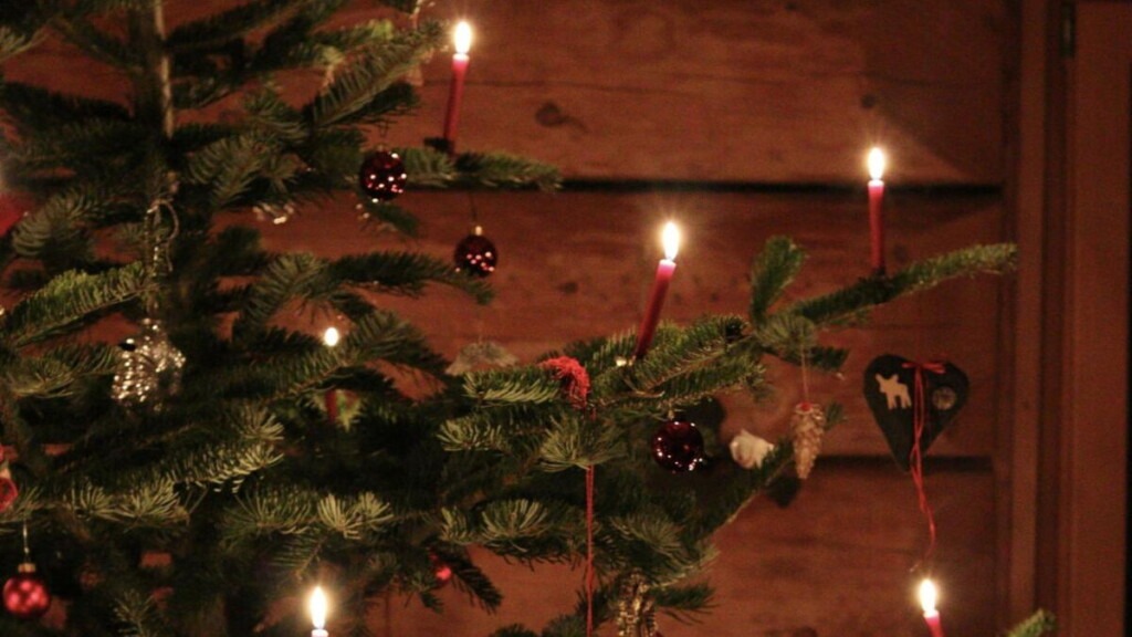 Quelle est la tendance Ralph Lauren pour Noël cette année ? Quelle est la tendance Ralph Lauren pour Noël cette année ?