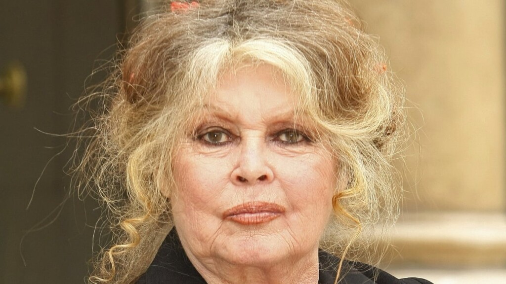 Brigitte Bardot et la chirurgie : la vérité sur son look et les rumeurs qui l’entourent Brigitte Bardot et la chirurgie : la vérité sur son look et les rumeurs qui l’entourent