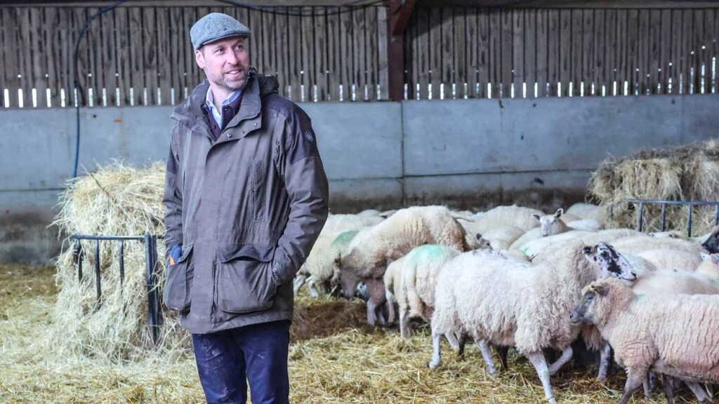 Le Prince William, gentleman agriculteur, s’implique dans les activités d’un verger Le Prince William, gentleman agriculteur, s’implique dans les activités d’un verger